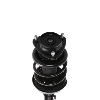 Suspension Strut and Coil Spring Assembly