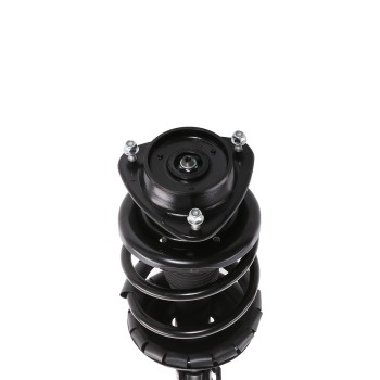 Suspension Strut and Coil Spring Assembly