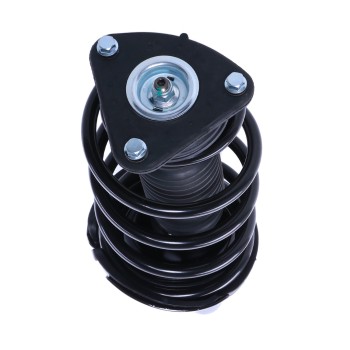 Suspension Strut and Coil Spring Assembly