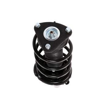 Suspension Strut and Coil Spring Assembly