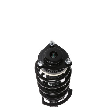 Suspension Strut and Coil Spring Assembly