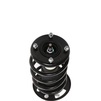 Suspension Strut and Coil Spring Assembly