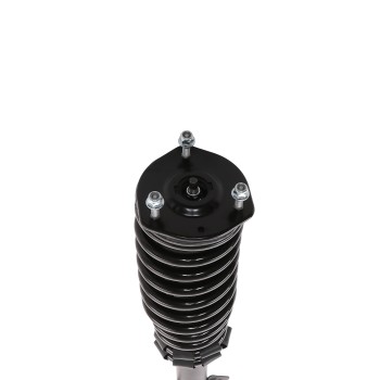 Suspension Strut and Coil Spring Assembly