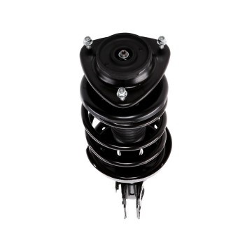 Suspension Strut and Coil Spring Assembly