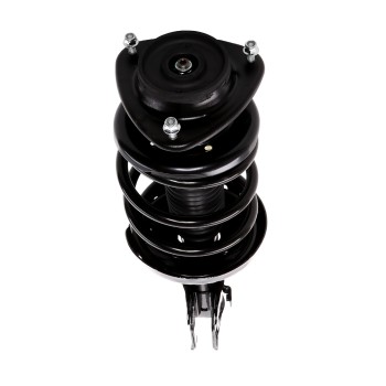 Suspension Strut and Coil Spring Assembly