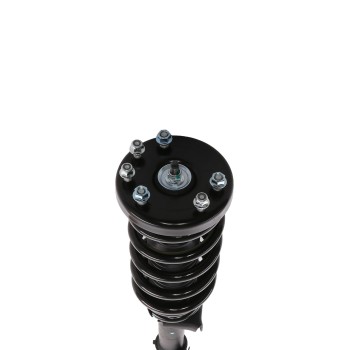 Suspension Strut and Coil Spring Assembly