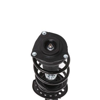 Suspension Strut and Coil Spring Assembly