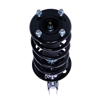 Suspension Strut and Coil Spring Assembly