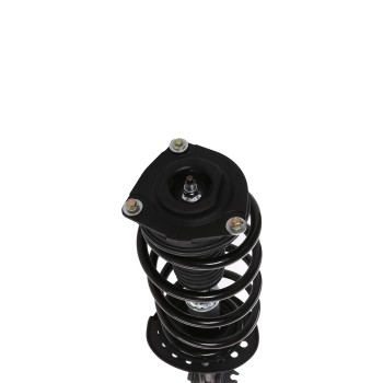 Suspension Strut and Coil Spring Assembly