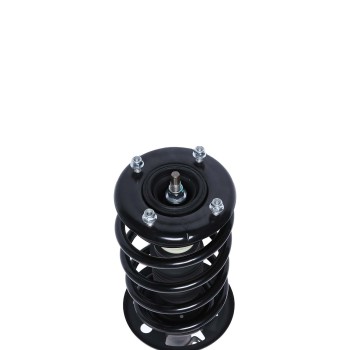 Suspension Strut and Coil Spring Assembly