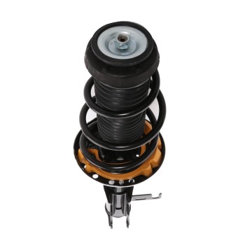 Suspension Strut and Coil Spring Assembly
