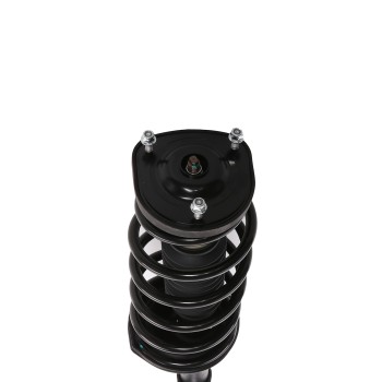 Suspension Strut and Coil Spring Assembly