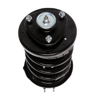 Suspension Strut and Coil Spring Assembly