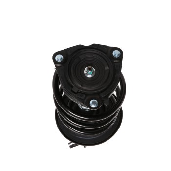 Suspension Strut and Coil Spring Assembly