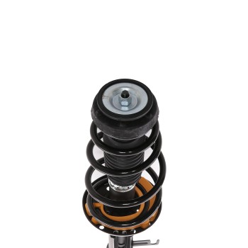 Suspension Strut and Coil Spring Assembly