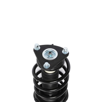 Suspension Strut and Coil Spring Assembly