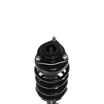 Suspension Strut and Coil Spring Assembly