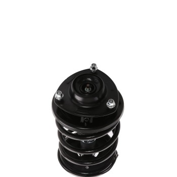 Suspension Strut and Coil Spring Assembly