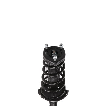 Suspension Strut and Coil Spring Assembly