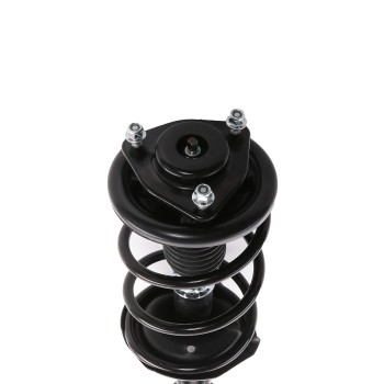 Suspension Strut and Coil Spring Assembly