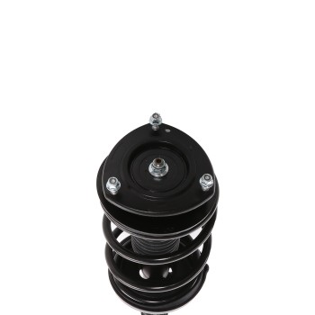 Suspension Strut and Coil Spring Assembly