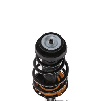 Suspension Strut and Coil Spring Assembly