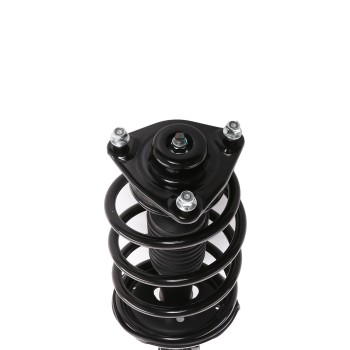 Suspension Strut and Coil Spring Assembly