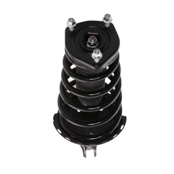 Suspension Strut and Coil Spring Assembly