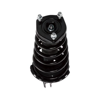 Suspension Strut and Coil Spring Assembly