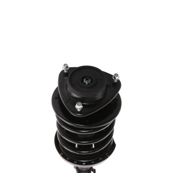 Suspension Strut and Coil Spring Assembly