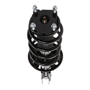 Suspension Strut and Coil Spring Assembly