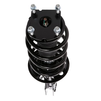 Suspension Strut and Coil Spring Assembly