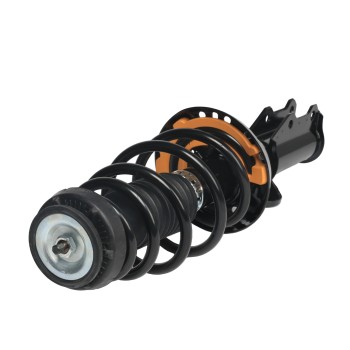 Suspension Strut and Coil Spring Assembly
