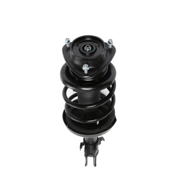 Suspension Strut and Coil Spring Assembly