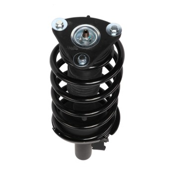 Suspension Strut and Coil Spring Assembly