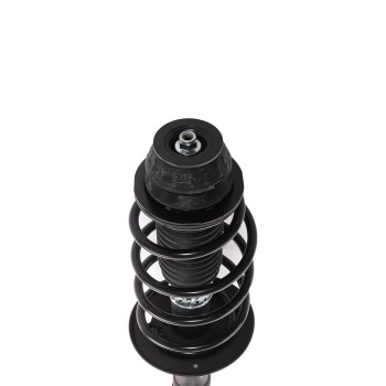 Suspension Strut and Coil Spring Assembly