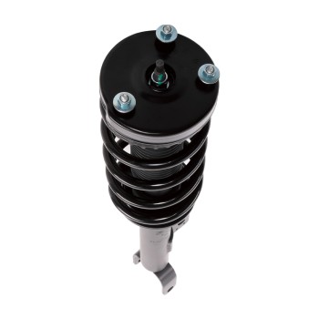 Suspension Strut and Coil Spring Assembly