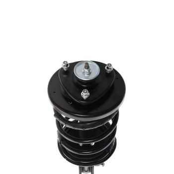 Suspension Strut and Coil Spring Assembly