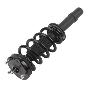 Suspension Strut and Coil Spring Assembly