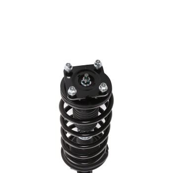 Suspension Strut and Coil Spring Assembly