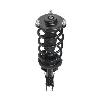 Suspension Strut and Coil Spring Assembly