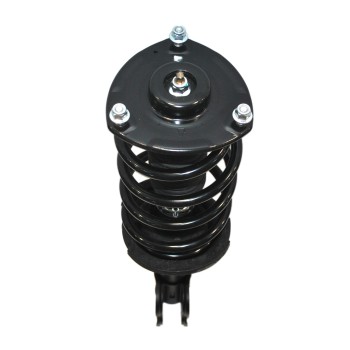 Suspension Strut and Coil Spring Assembly