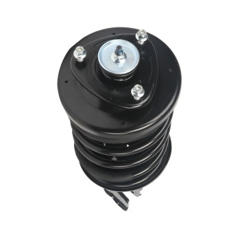 Suspension Strut and Coil Spring Assembly