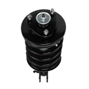 Suspension Strut and Coil Spring Assembly