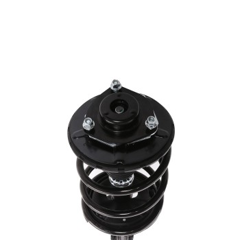 Suspension Strut and Coil Spring Assembly