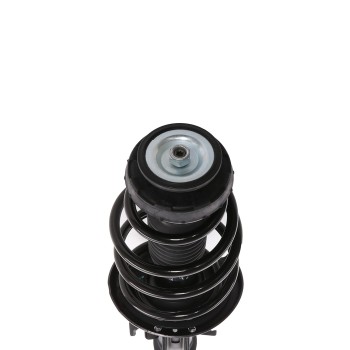 Suspension Strut and Coil Spring Assembly