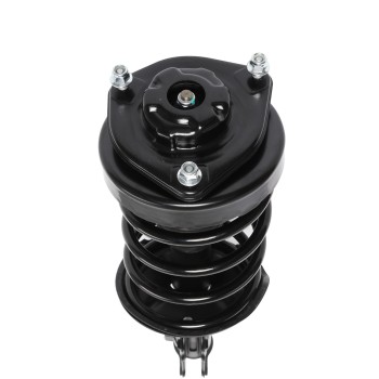 Suspension Strut and Coil Spring Assembly