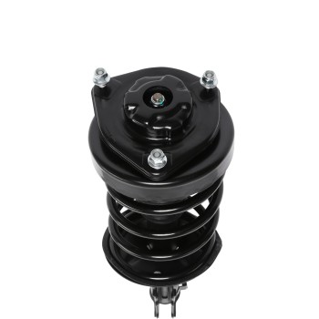 Suspension Strut and Coil Spring Assembly