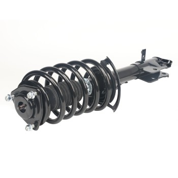 Suspension Strut and Coil Spring Assembly
