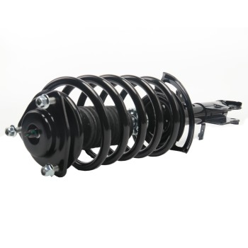 Suspension Strut and Coil Spring Assembly
